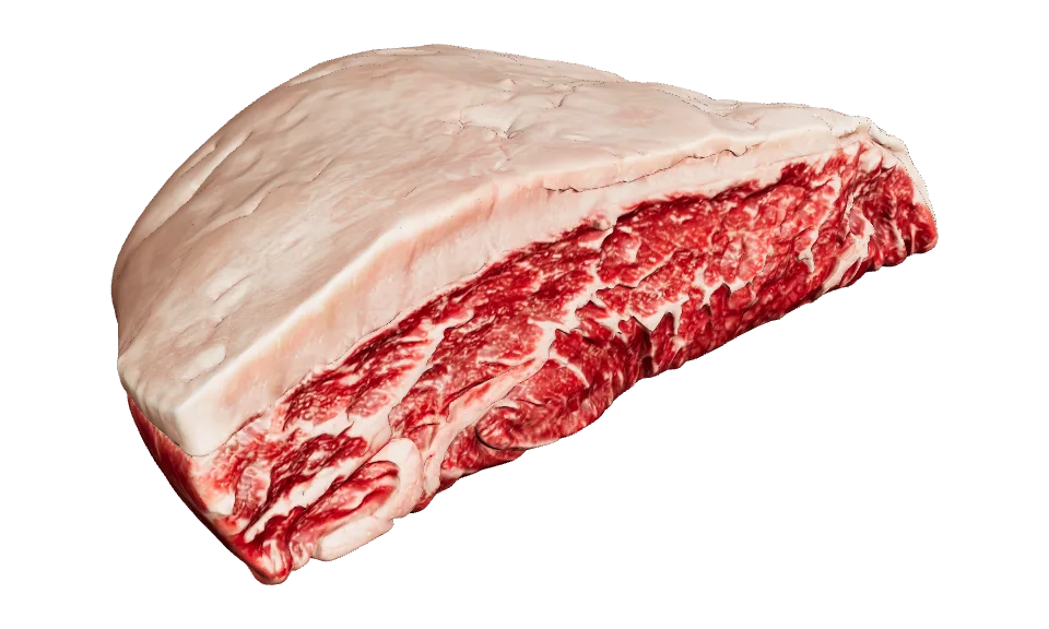 イチボ丸ごと