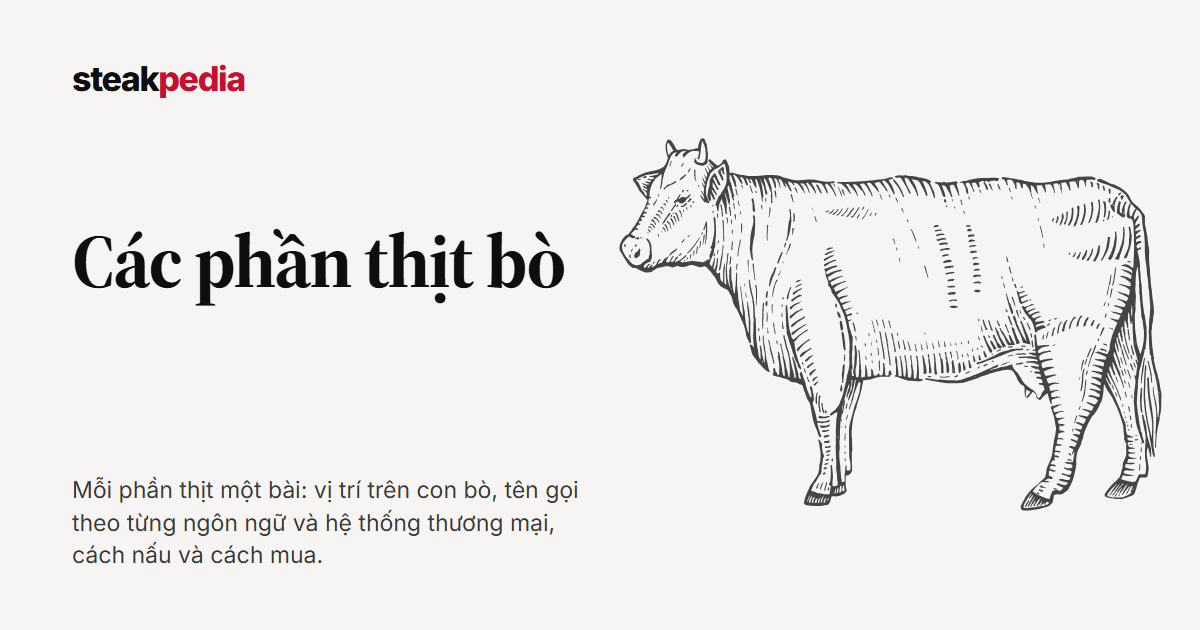 Các phần thịt bò trên Steakpedia